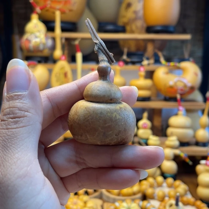 鲨***鱼天然葫芦自然生长