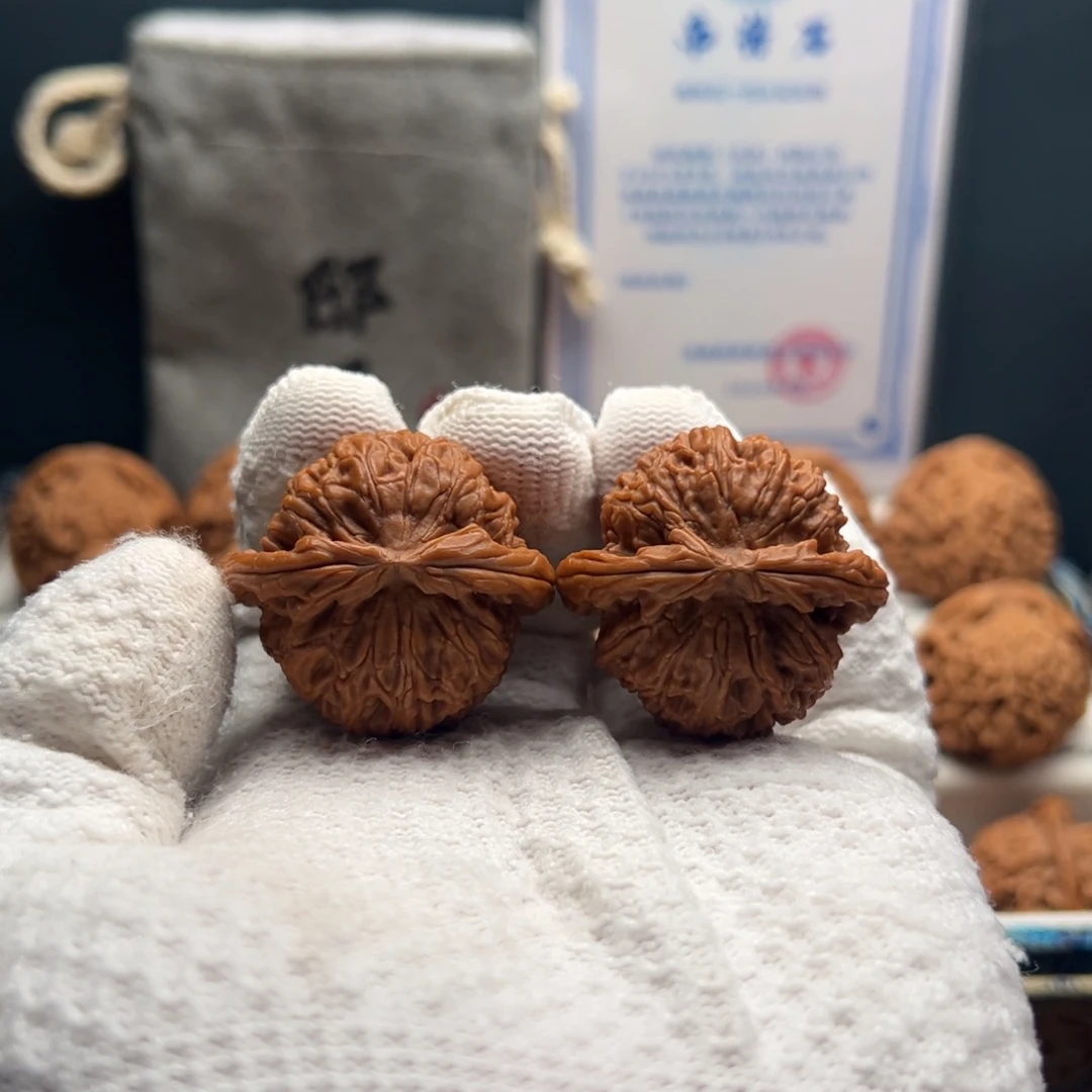 文玩核桃把件白狮子37.5