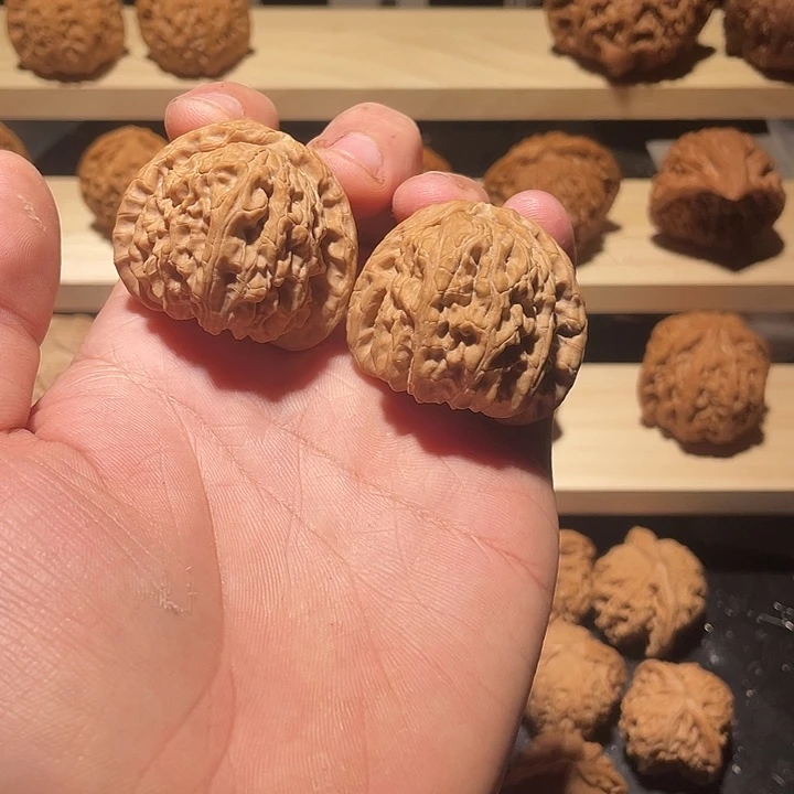 白狮子全品无修40+