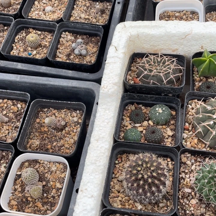 九***刘30910000000000000