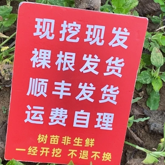 杂***酱吊坠文玩核桃磨盘