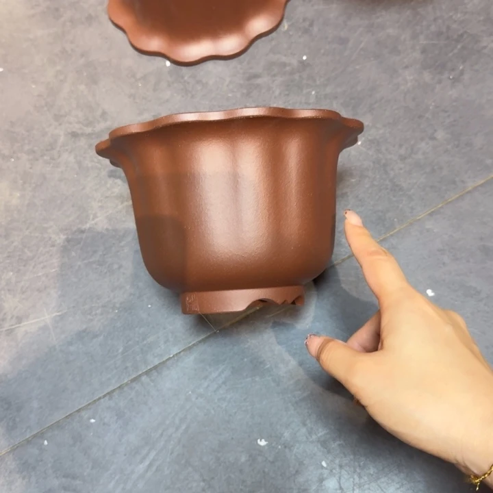 荷***月花盆紫砂嗯哼我的小可爱们