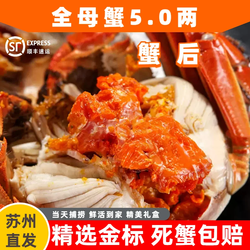 【李记金标活蟹】苏州大闸蟹蟹后全母蟹5.1-4.8两 6/8/10只精美礼盒