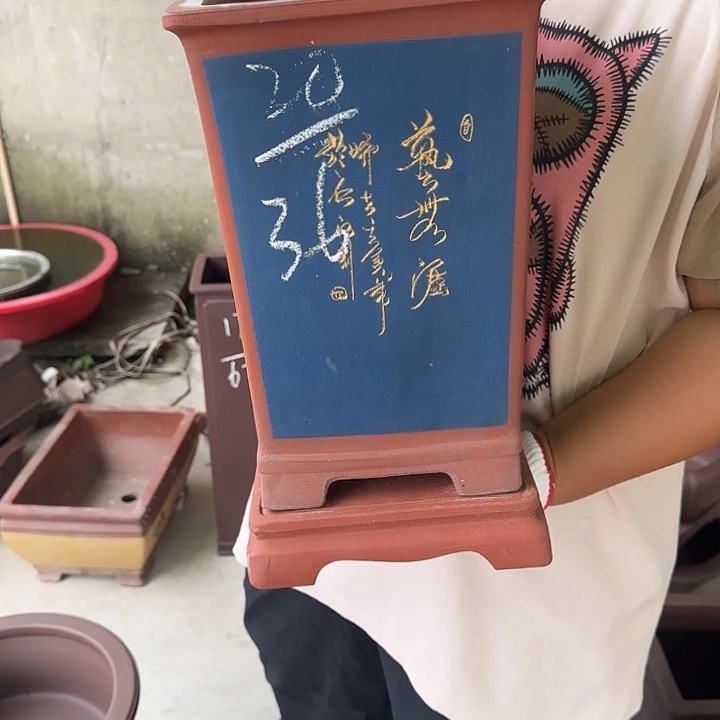 不敢想啊想我没有呢