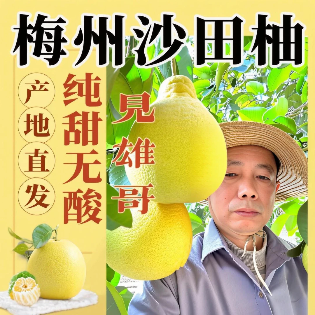 梅县老树沙田柚纯甜耐放柚子叶正宗多地包邮5斤