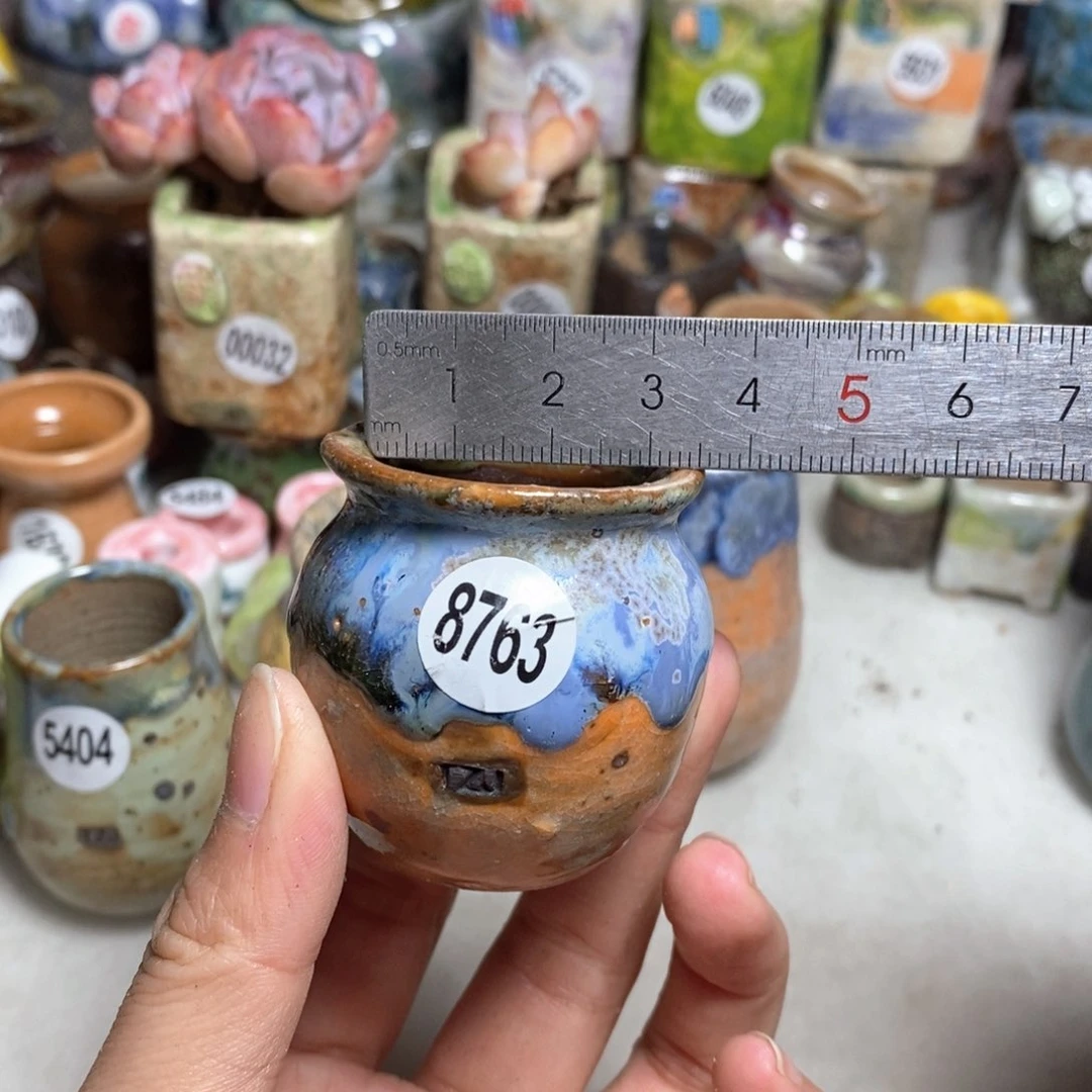 拍5送一个小礼物