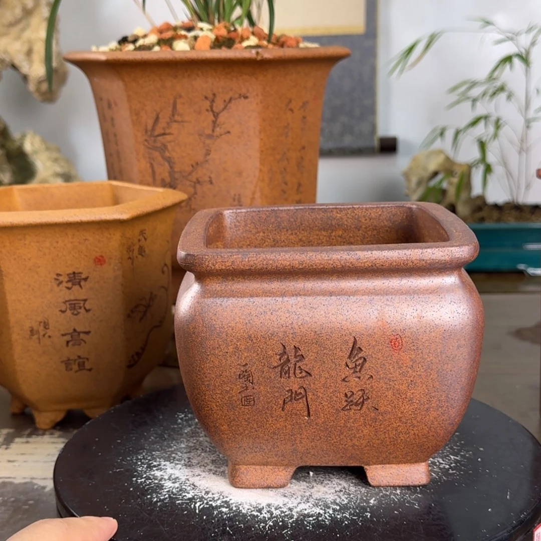 紫砂花盆紫砂花盆11.5-10