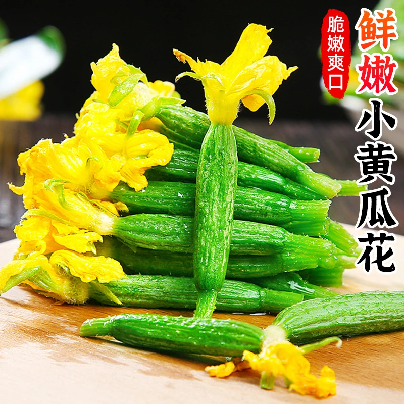 【脆嫩爽口】新鲜小黄瓜花1-3斤脆嫩迷你青瓜苗顶花特产蔬菜鲜嫩