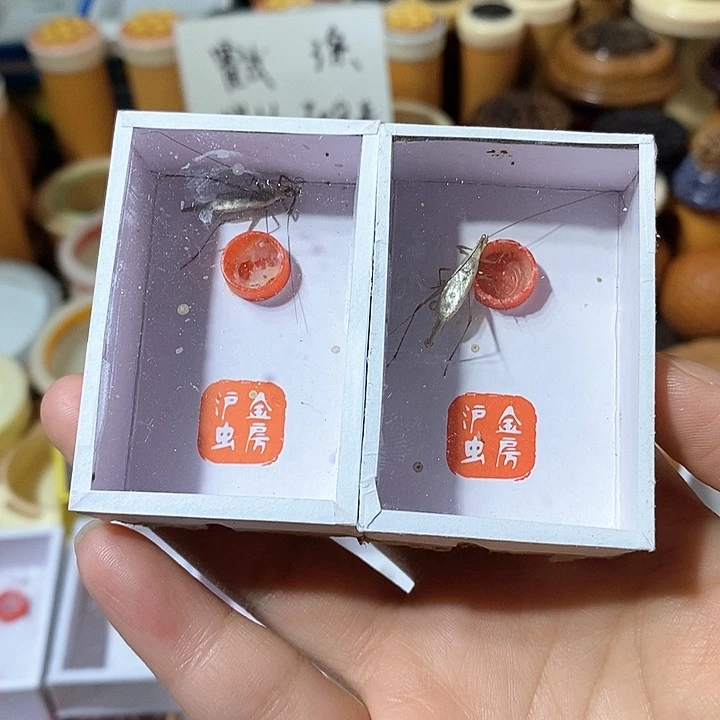 ?****0黑紫2-z cv b b n