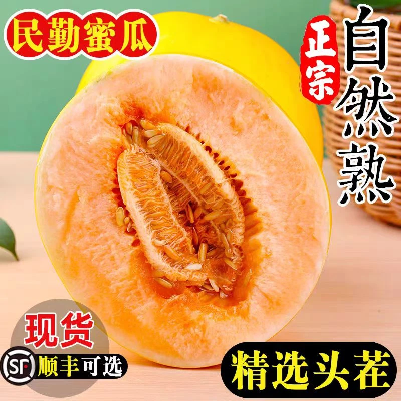 顺丰甘肃民勤新鲜金红宝黄河蜜瓜8-9斤，产地直发坏果包赔