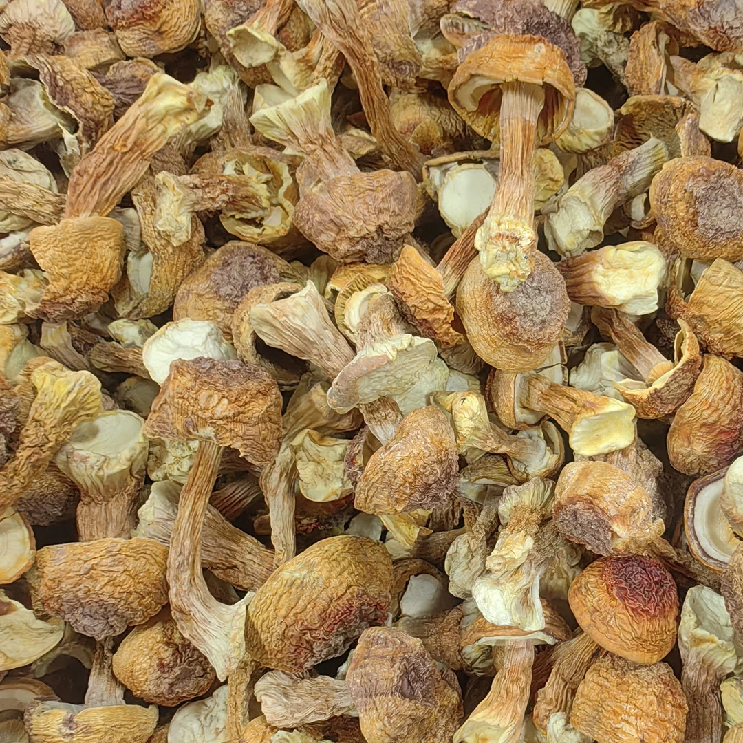 姬松茸  干货  煮汤煲汤