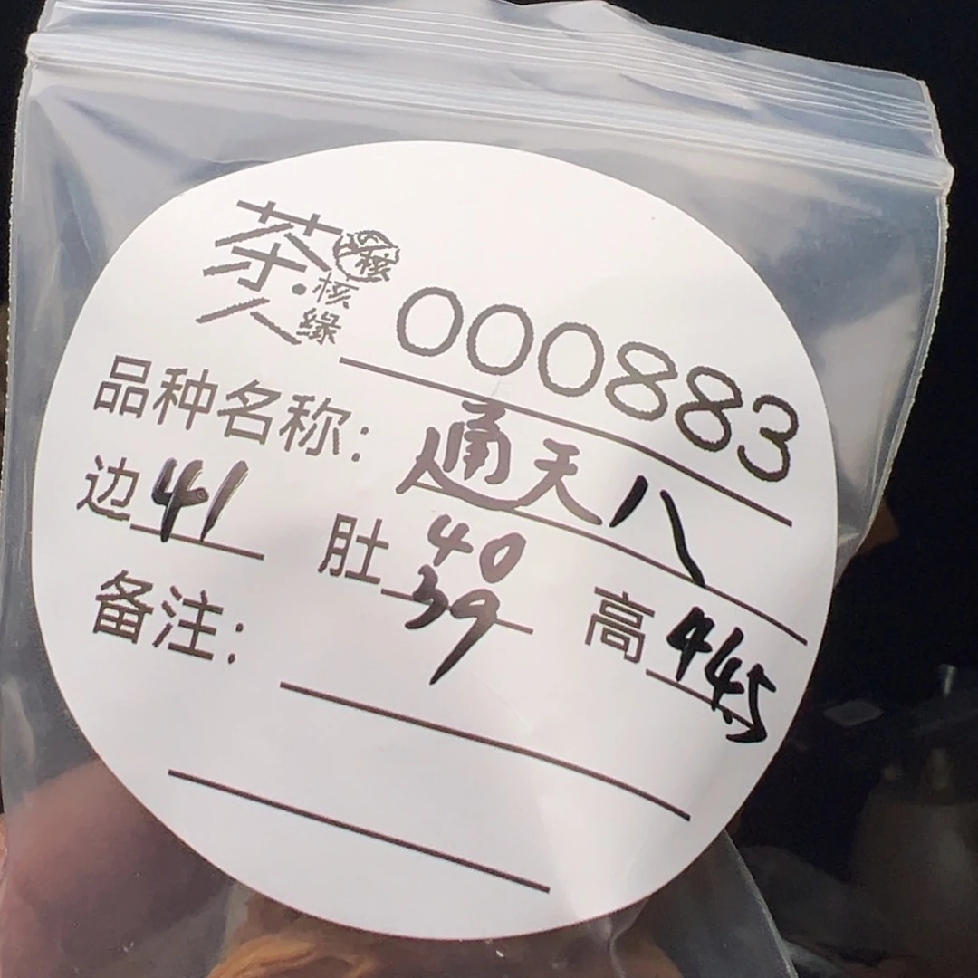 文玩核桃吊坠今天