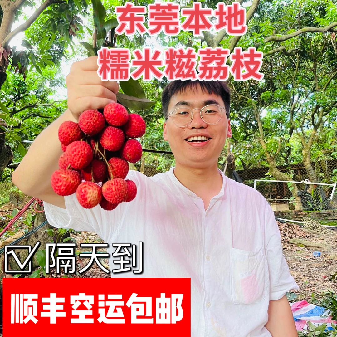 东莞长安本地糯米糍荔枝正宗红糯纯甜小核新鲜采摘果园直发