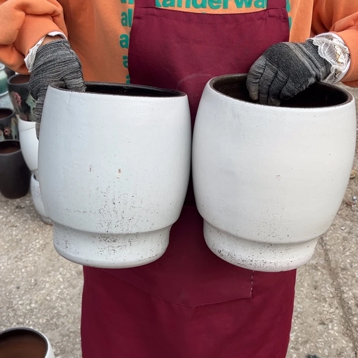 口19高24瑕疵瑕疵