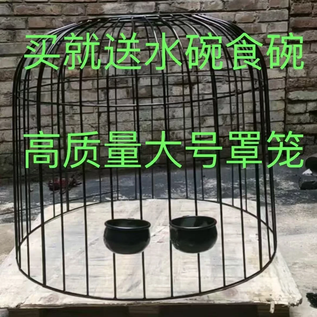 斗鸡笼子送斗鸡碗斗鸡罩笼笼钢筋罩笼斗鸡提笼子单层罩笼养鸡笼子