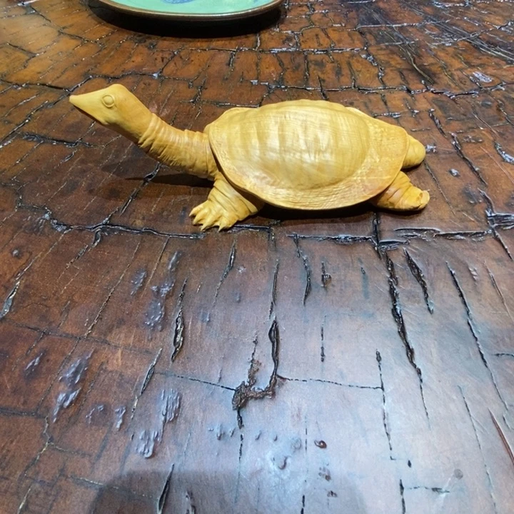 爱***包香榧木小叶黄杨木富甲一方