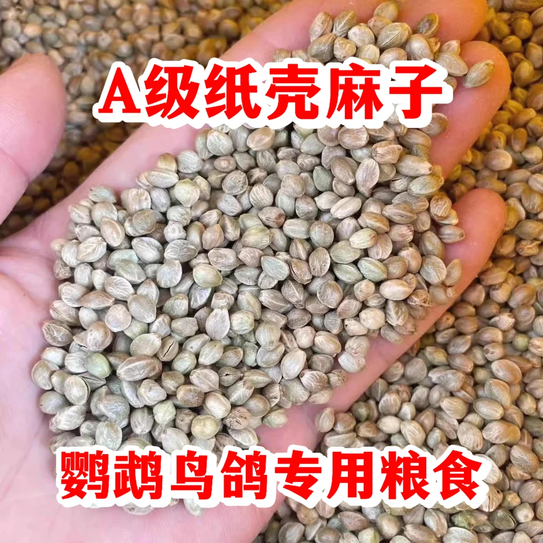 纸壳麻子鹦鹉粮大颗粒小太阳和尚奖励零食牡丹玄凤鸟粮新货