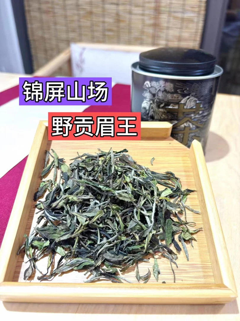 【锦屏野贡眉王】2025年群体种小菜茶自然生长野小白，无人为干预
