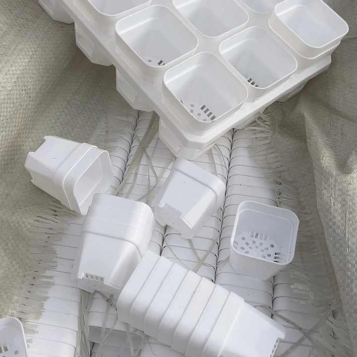 5白方口5高5一组100个