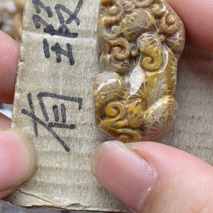 颈饰未镶嵌硅化珊瑚（珊瑚玉）A****y