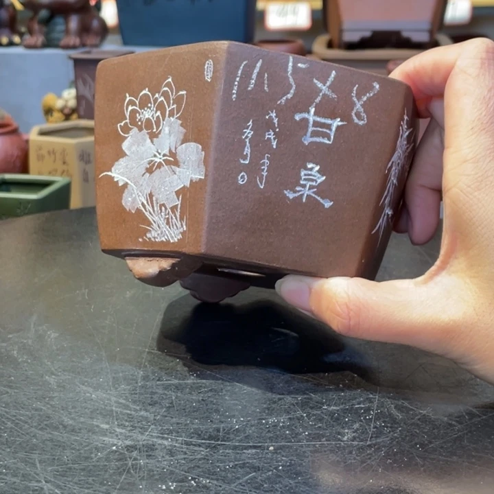 花盆紫砂你的手机