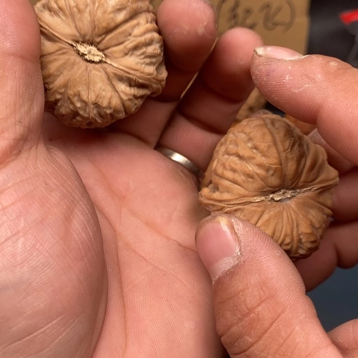 尊***尊吊坠文玩核桃文玩核桃南瓜墩，