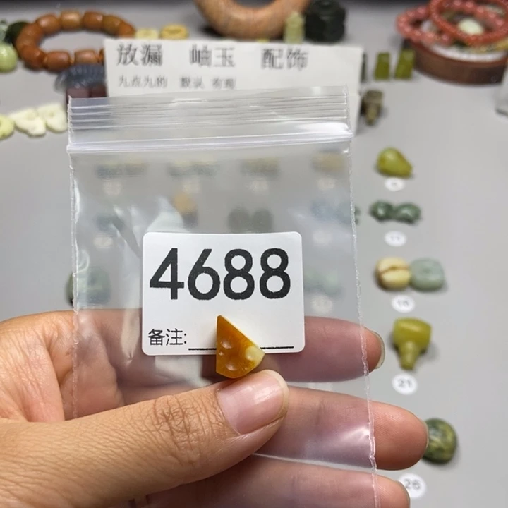 A***y未镶嵌蛇纹石玉颈饰