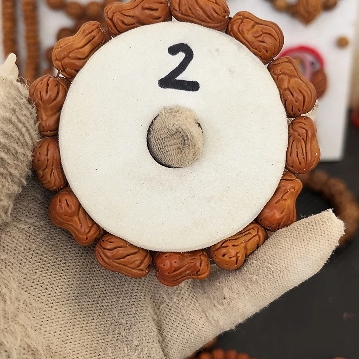 宝***~探险12856899999999