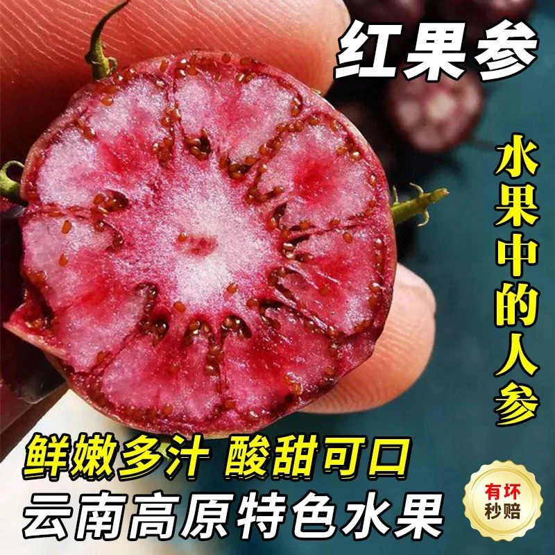 【鲜果尝鲜】云南高山新鲜红果参现摘现发当季稀有水果蜘蛛果批发