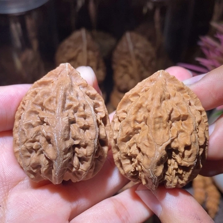 把件文玩核桃东北野生楸子小园147