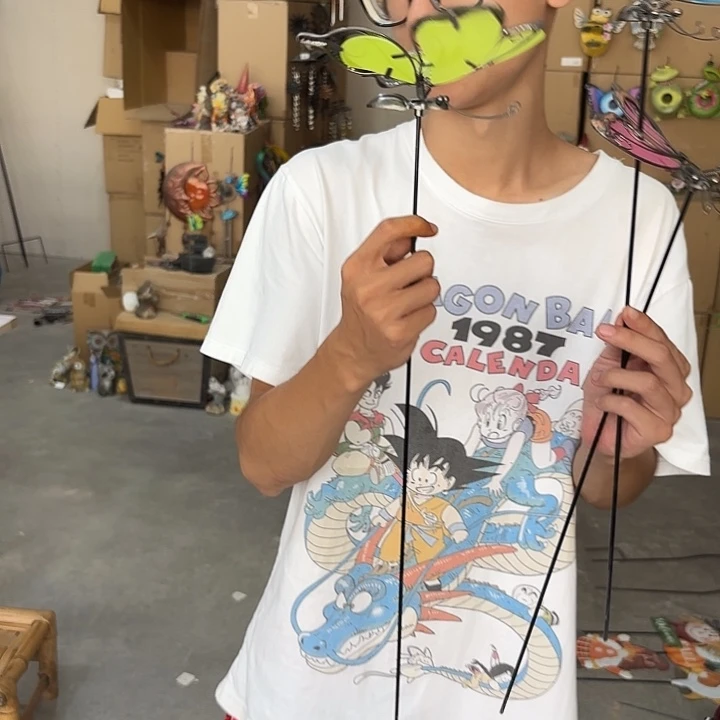 瓷片样品样品样品蝴蝶花插