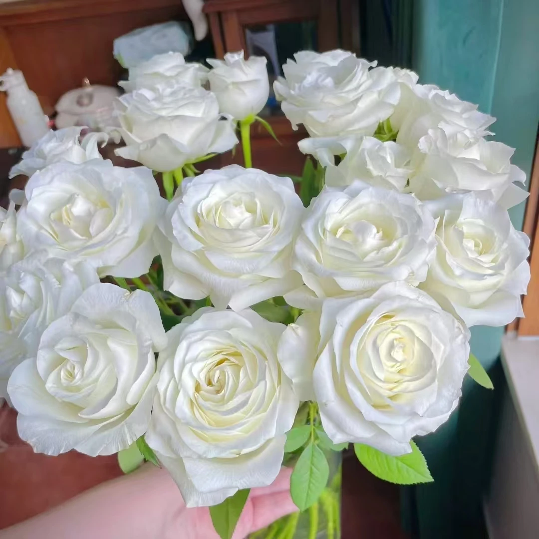 氧花季 骄傲玫瑰18支+2支防损 收到先醒花 拍2单升级快递