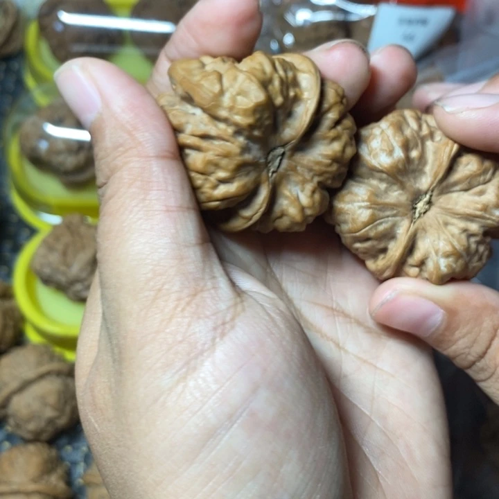 奥***卡把件文玩核桃蛤蟆41