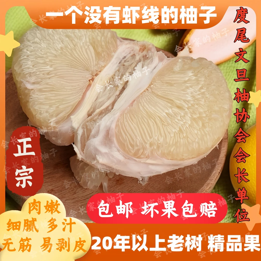 【会长家的柚子】度尾老树文旦柚无孔蜜柚红心柚现摘新鲜水果-FZ