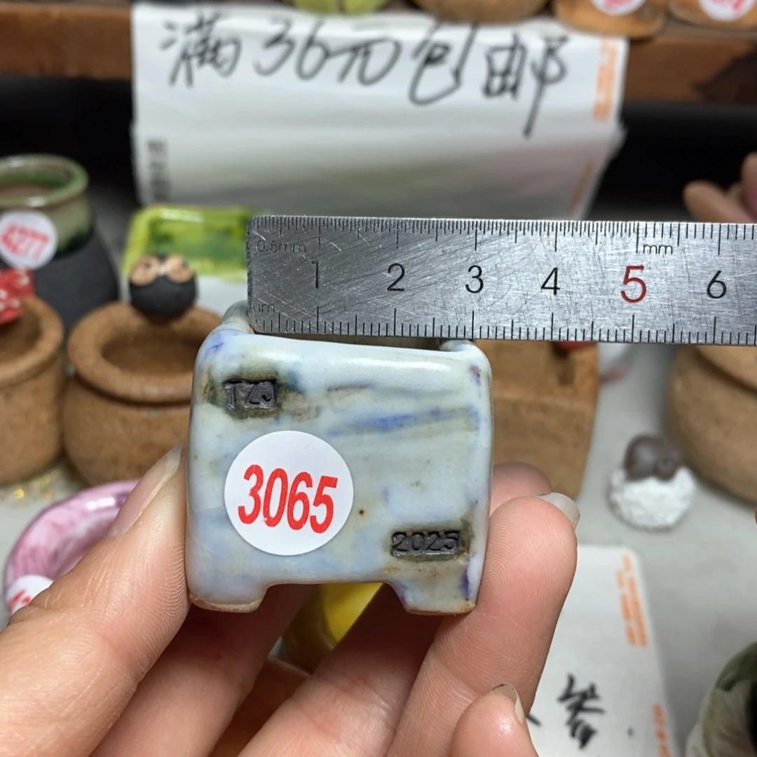 红陶拍5送一个小