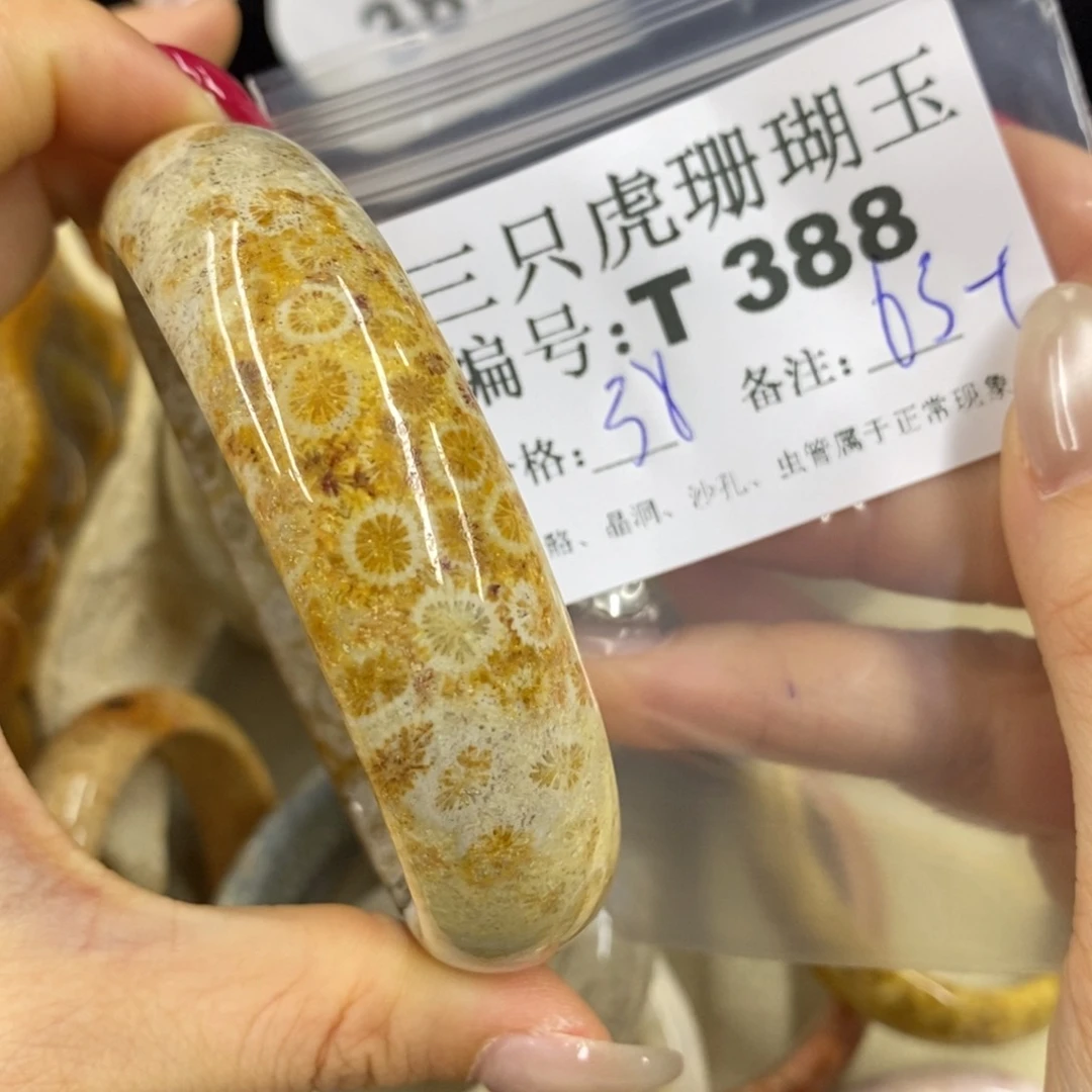 硅化珊瑚（珊瑚玉）1足银镀金镶嵌抓****勇