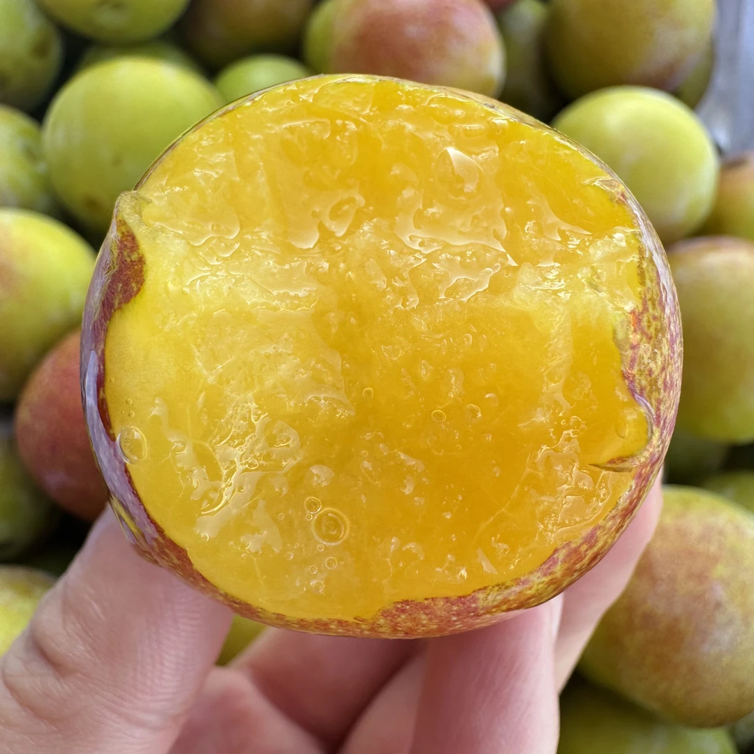 《小军严选》贵妃李子 香甜多汁果香浓郁新鲜采摘顺丰包邮李子同城送新疆维吾尔自治区