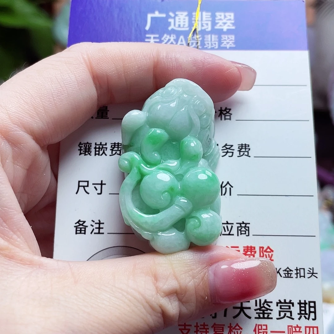 翡翠未镶嵌颈饰貔貅10