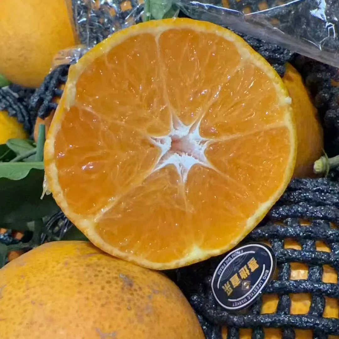 【六妈推荐】纹花橘 甘甜水润多汁爆汁应季 1件3斤起辽宁发货