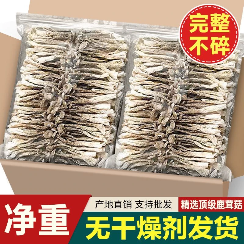 高山鹿茸菇营养头茬香味浓郁高品质干货特产炖煲汤炒腊肉自然晾晒
