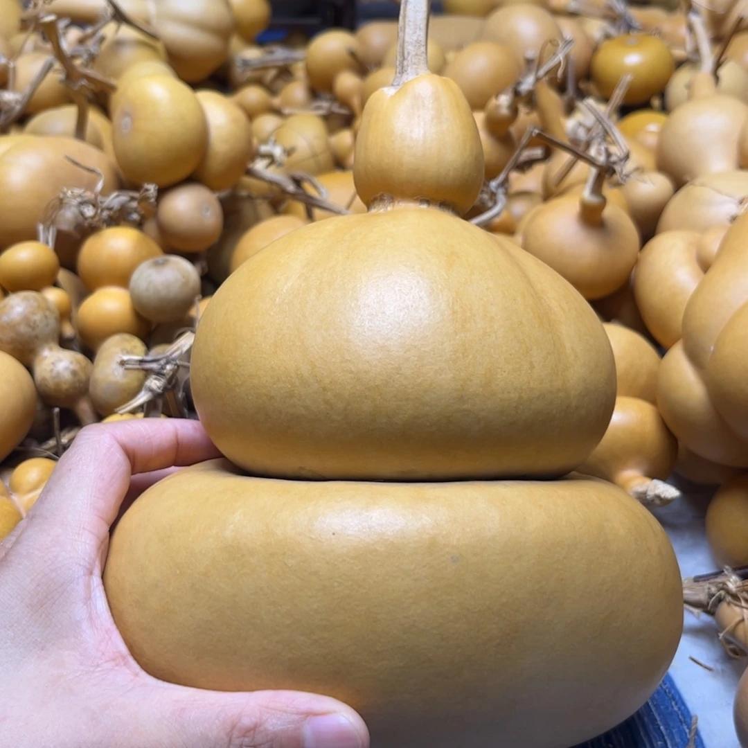薄***茶嘎嘎漂亮大厚皮钱袋子