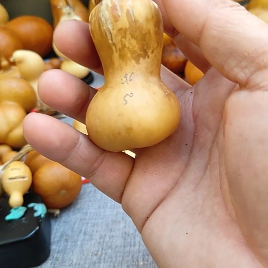 2***c葫芦哥哥你好啊美女你好啊美女你好