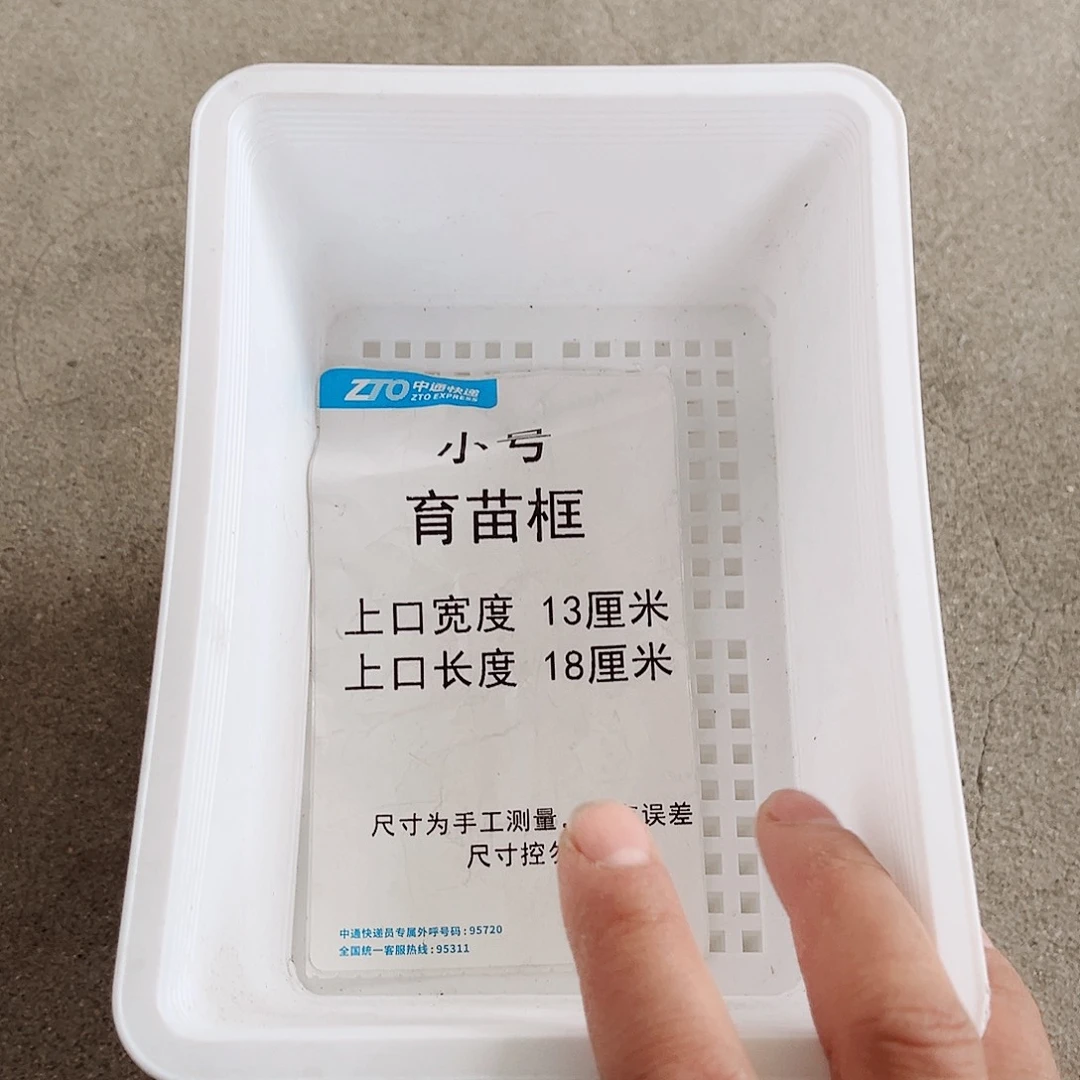 树脂小号育苗框白色10个无托