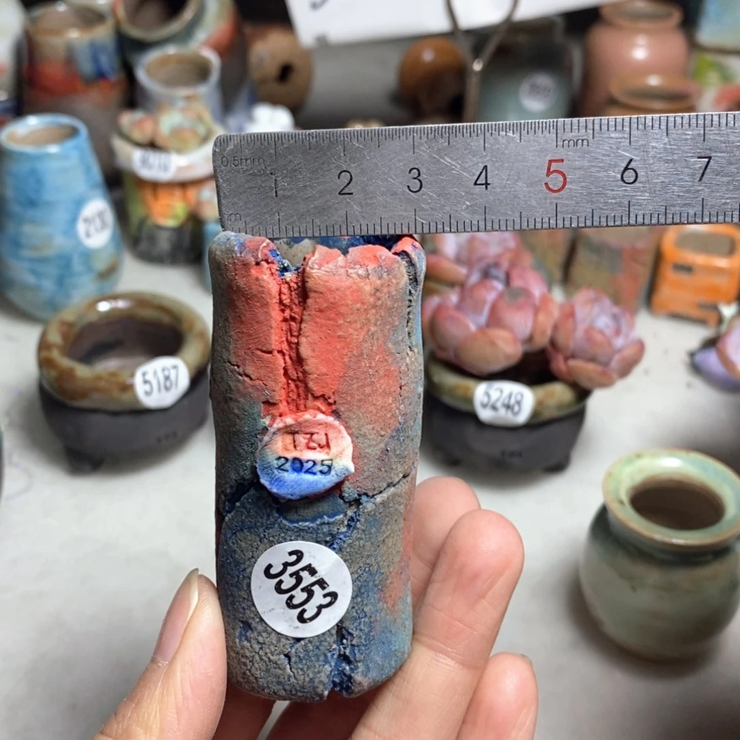 拍3送一个小礼物