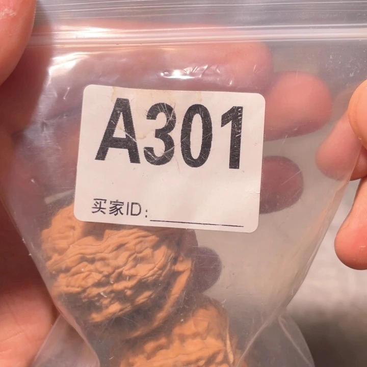 文玩核桃把件E**n301白狮子