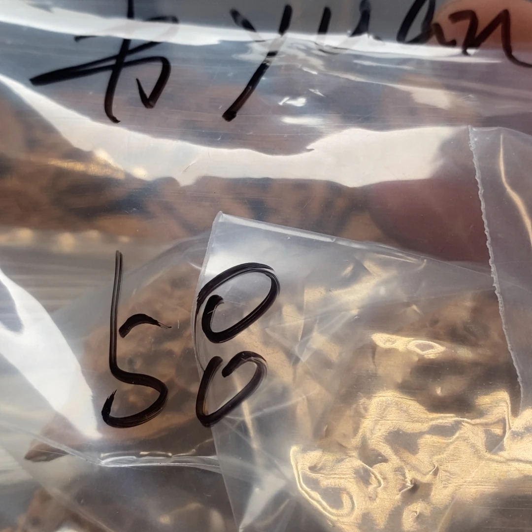 书***n文玩核桃吊坠天骄的核桃补给站