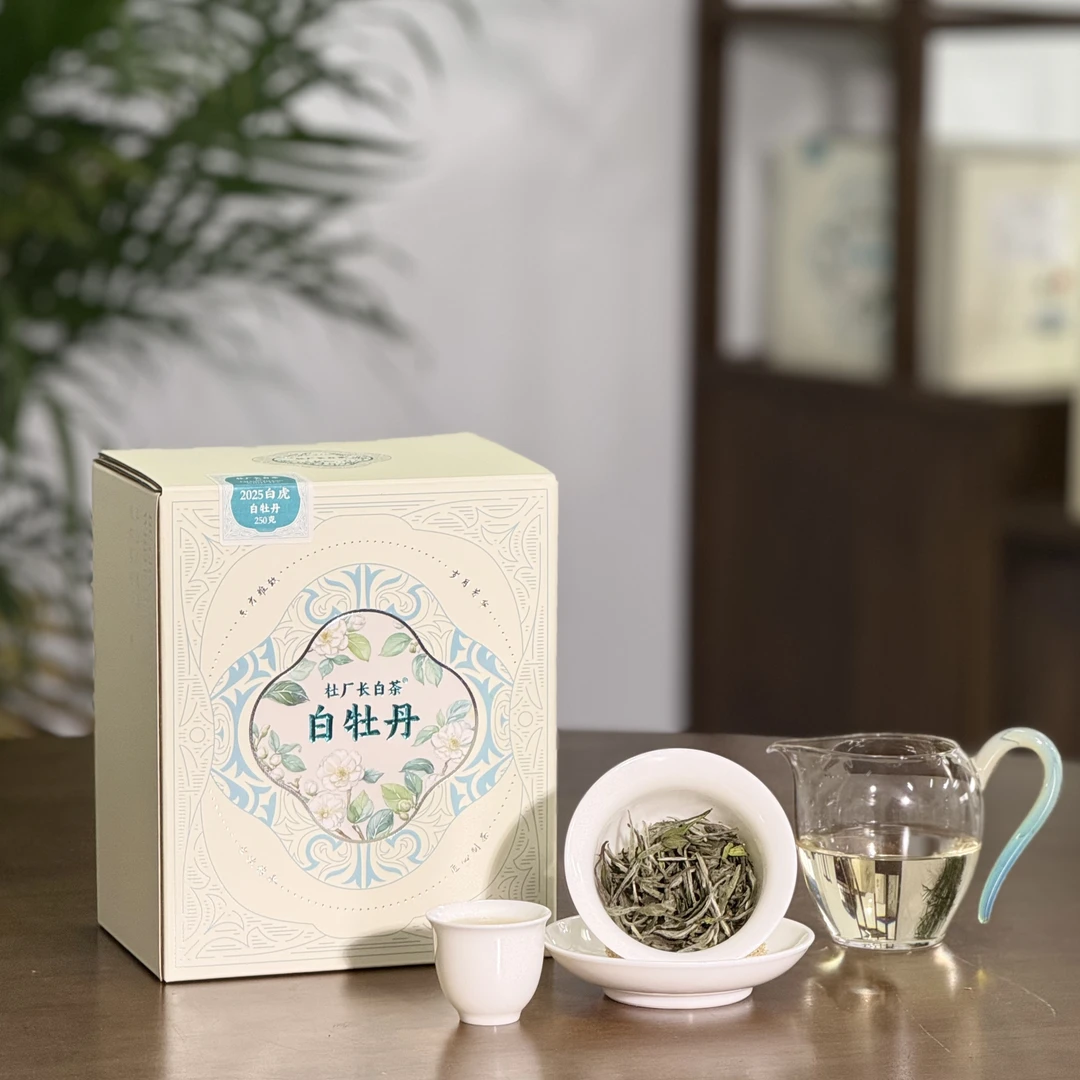 2025年白虎/特级白牡丹/春茶/花香鲜甜/福鼎白茶/鲜甜柔润