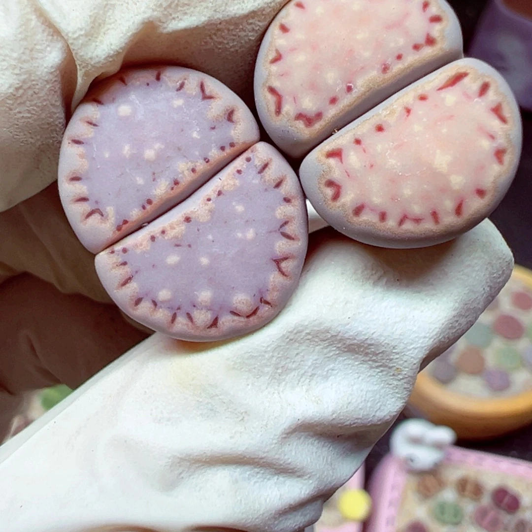 桃***啊精致优秀的肉肉811-112