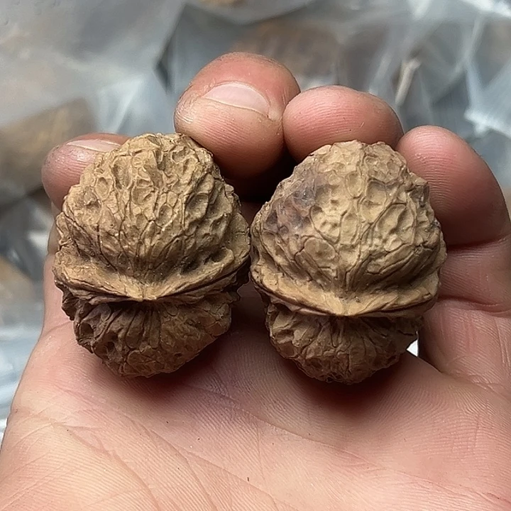 核桃53号夜叉39尺