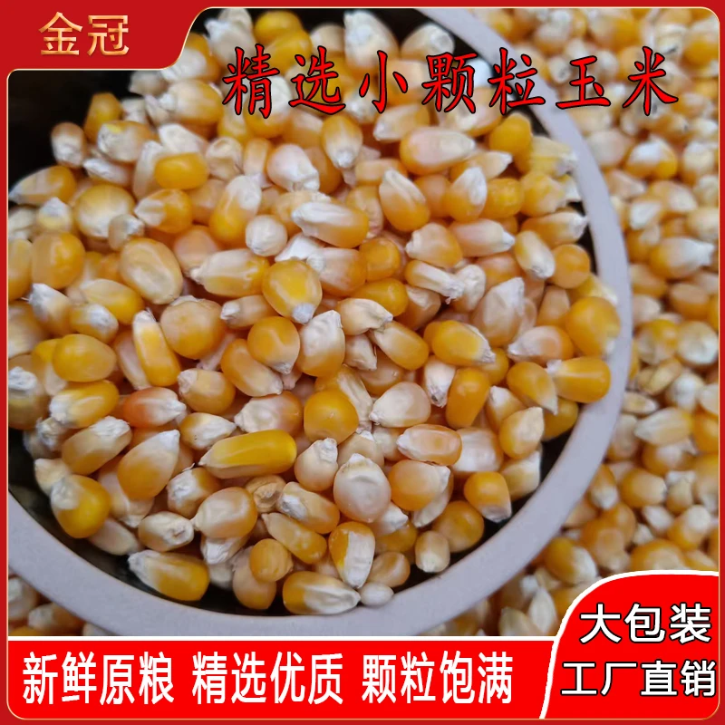 特价精品小颗粒玉米小金黄鸟食观赏鸽赛鸽信鸽鹦鹉仓鼠粮50斤